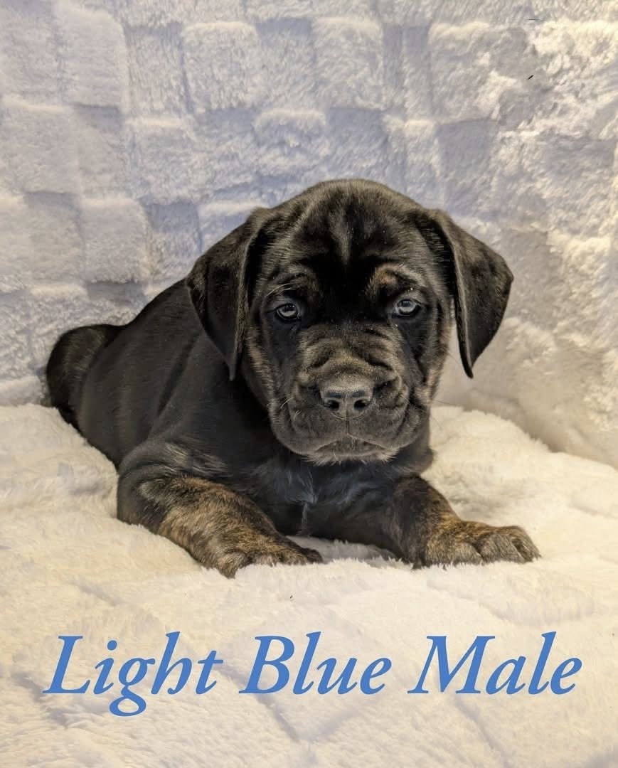 603941225 122116885977053713 3273555719570178430 n